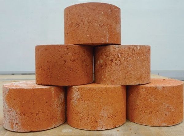 biosolid-bricks-1