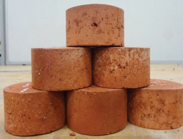 biosolid-bricks-2