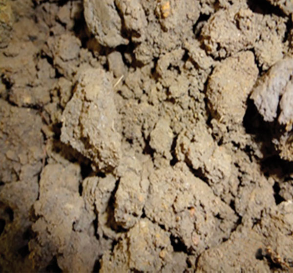 etp-22-biosolids