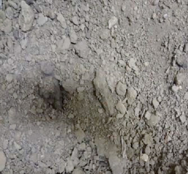 wtp-10-biosolids