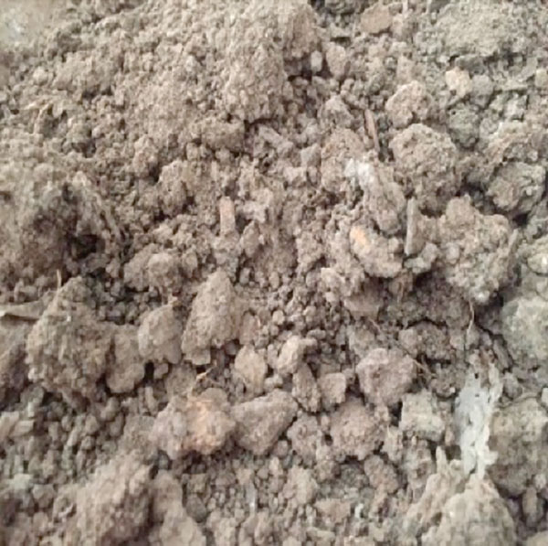 wtp-17-29-biosolids