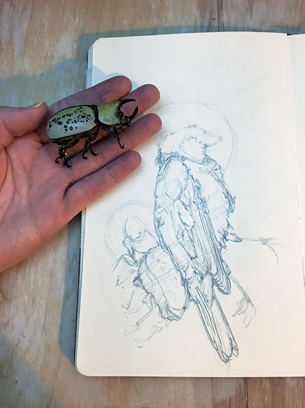 7 Indigo Bunting and Eastern Hercules beetle sketch with preserved dead beetle, graphite on paper, 2018.