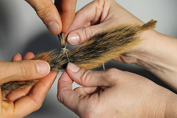 1 Tie the base of the hair with floss.