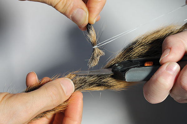 2 Trim the hairs at the base.