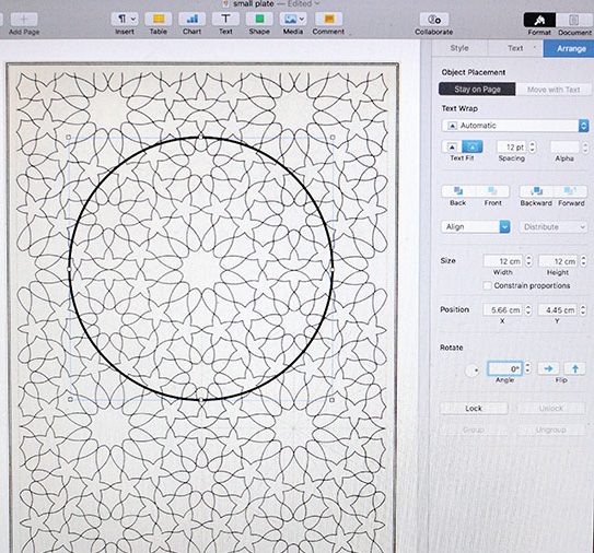 5 Using graphics software, create a circle over a pattern and adjust the scale.