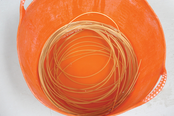 12 Soak the reed in water for 4–6 hours before use. It needs to be soft enough to bend without splitting or breaking.