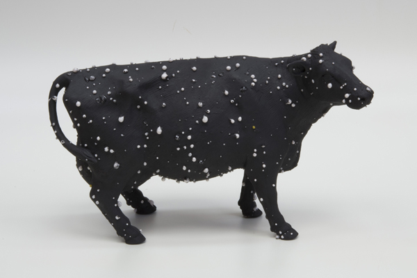 Black-Holstein