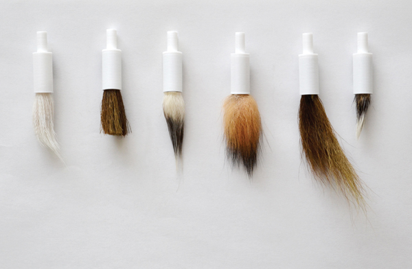 2 Brush tips created with 3-D printed plastic shafts and ferrules and various types and densities of animal hair. 