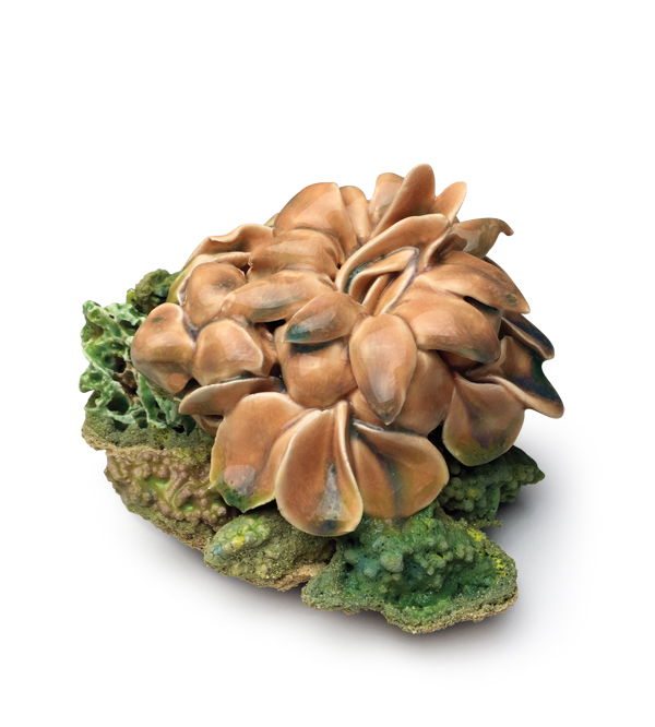 Ex_BaltClay_Michi_Satake_O-copy