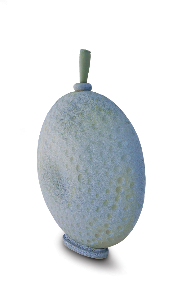 1 Hiroshi Sueyoshi’s bottle, 14 in. (36 cm) in height, stoneware, 2013. Courtesy of the Pancoe Art Education Center.