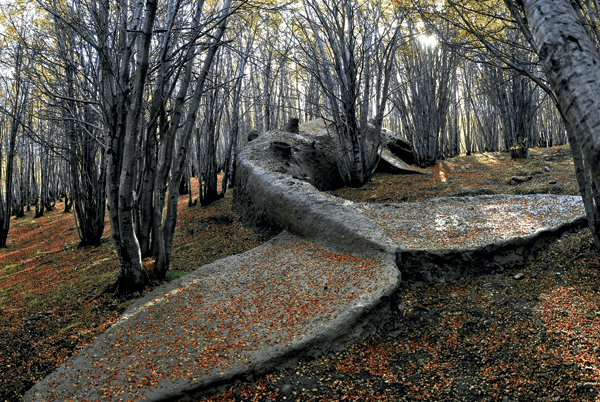 4 Mi Familia Muerta (My Dead Family), 88 ft. 6 in. (27 m) in length, clay, wood, rock, 2009. Installed at the “Biennial of the End of the World” in Ushuaia, Argentina.