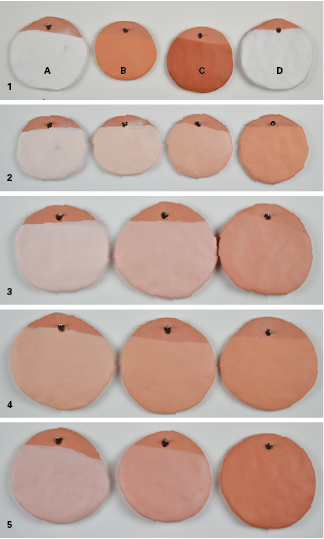 1 Base terra sigillata tiles (from left to right): (A) Grolleg porce- lain, (B) Newman Red clay, (C) Cedar Heights Redart clay, (D) OM 4 ball clay*.