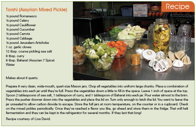 Torshi Recipe